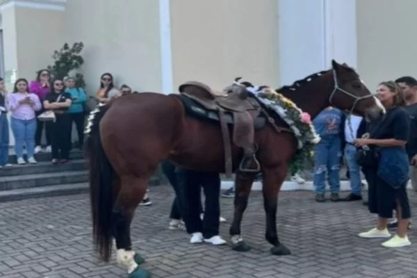 Égua