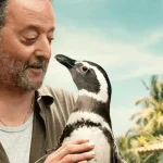 Meu Amigo Pinguim