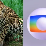 Onça bateu Globo em 1990