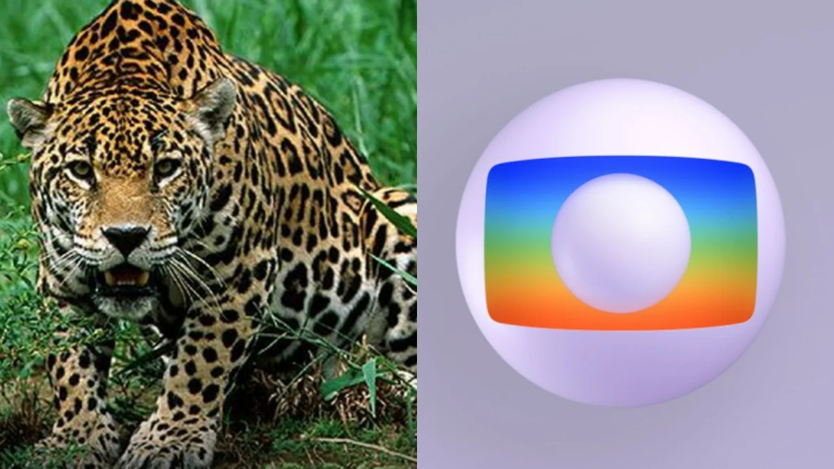 Onça bateu Globo em 1990