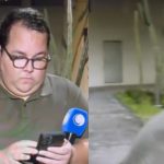 Barata no Ombro do reporter